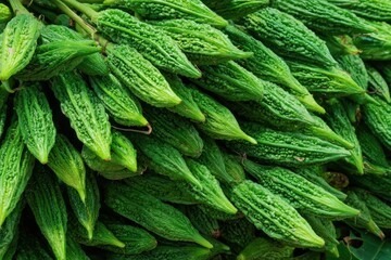 Fresh African bitter gourd for wholesale supply