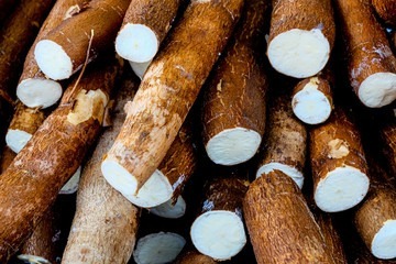 Fresh cassava (yuca) roots for wholesale export