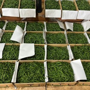 Fresh African chili bulit for wholesale export