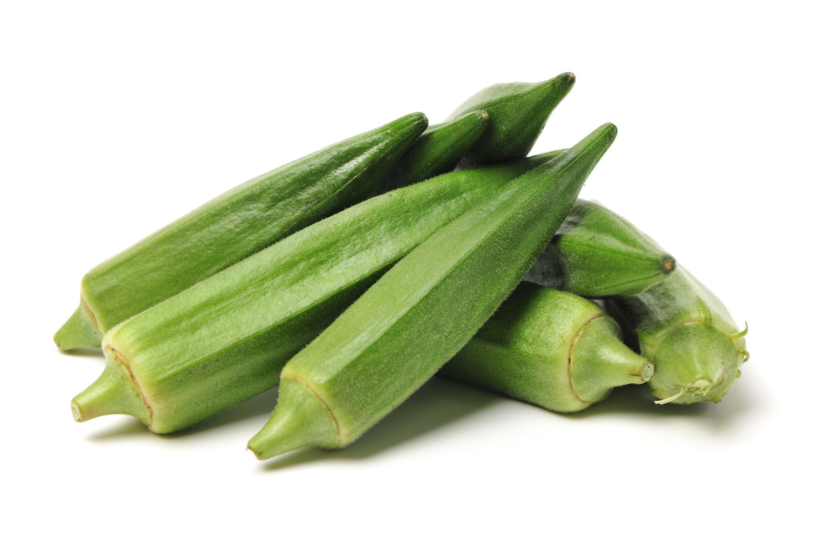 Fresh Large Okra – Wholesale