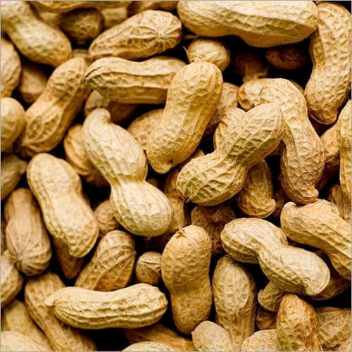 Fresh Raw Peanuts (Groundnuts) – Wholesale - Image 3