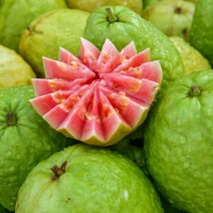 Fresh Guava – Premium Wholesale Supply