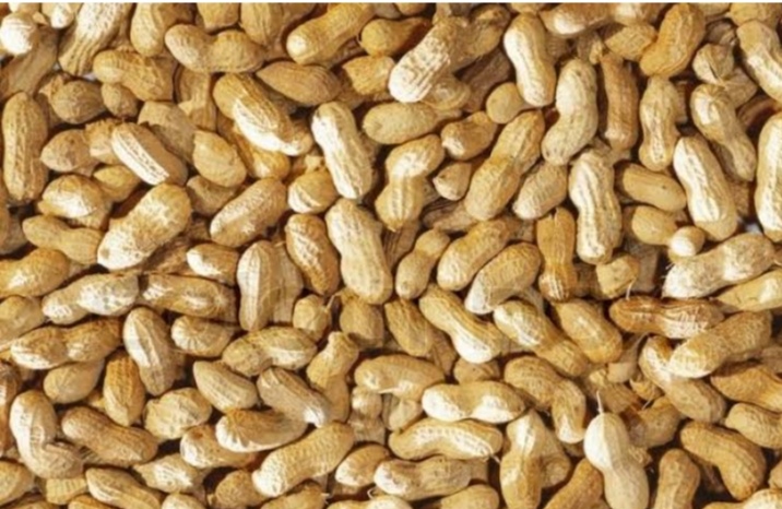 African Groundnuts (Peanuts)
