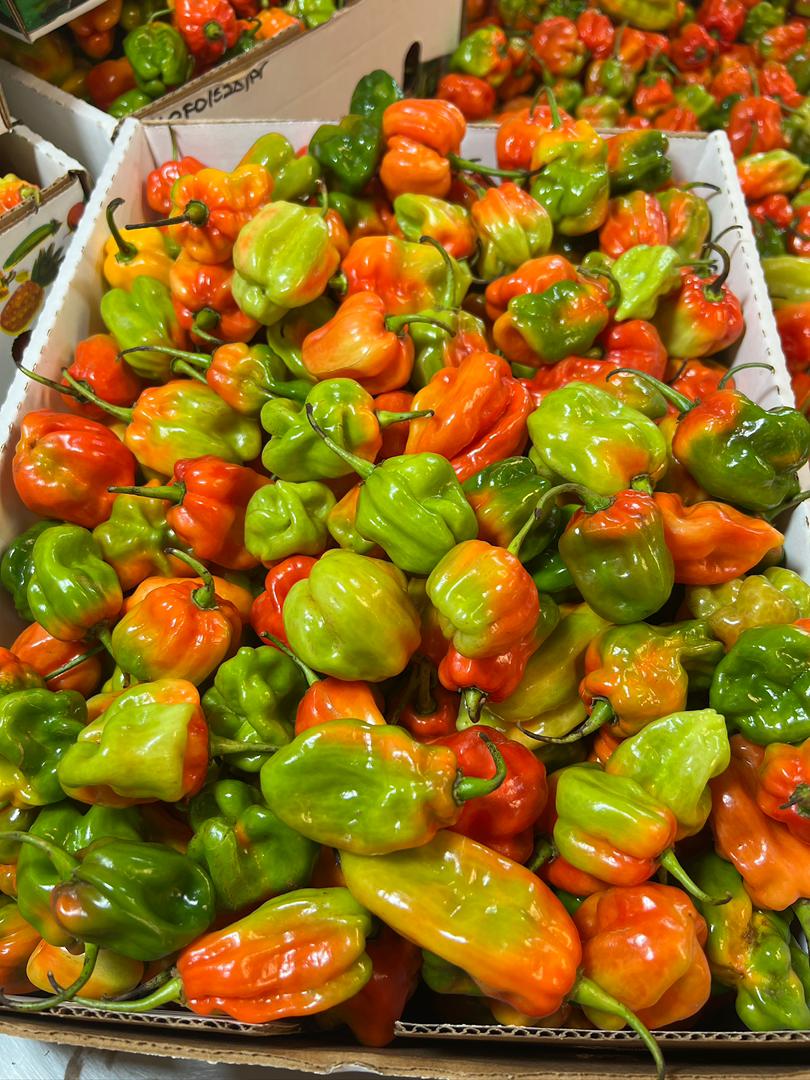 African Hot Peppers (Pilipili) - Image 2