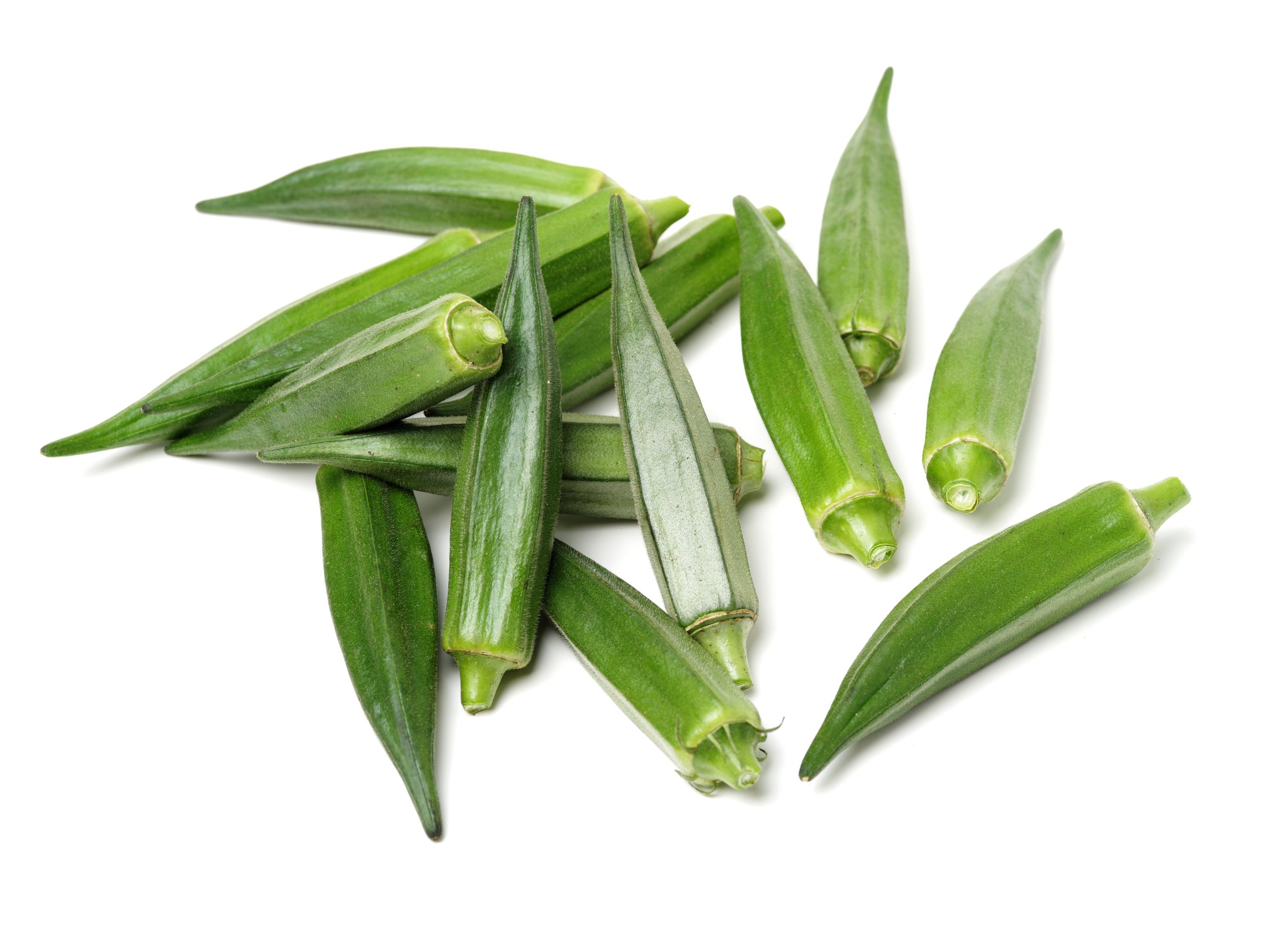Fresh Small Okra – Wholesale Supply