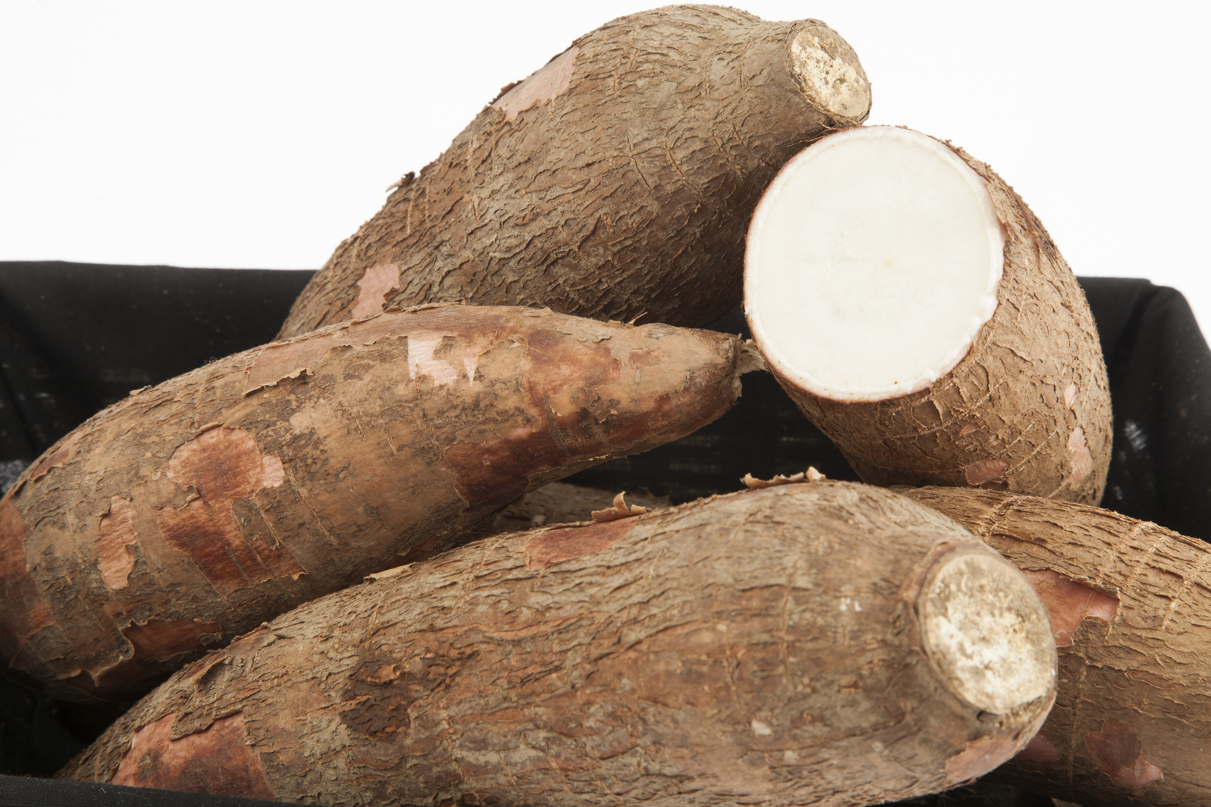 Fresh Cassava (Yuca Root) – Wholesale