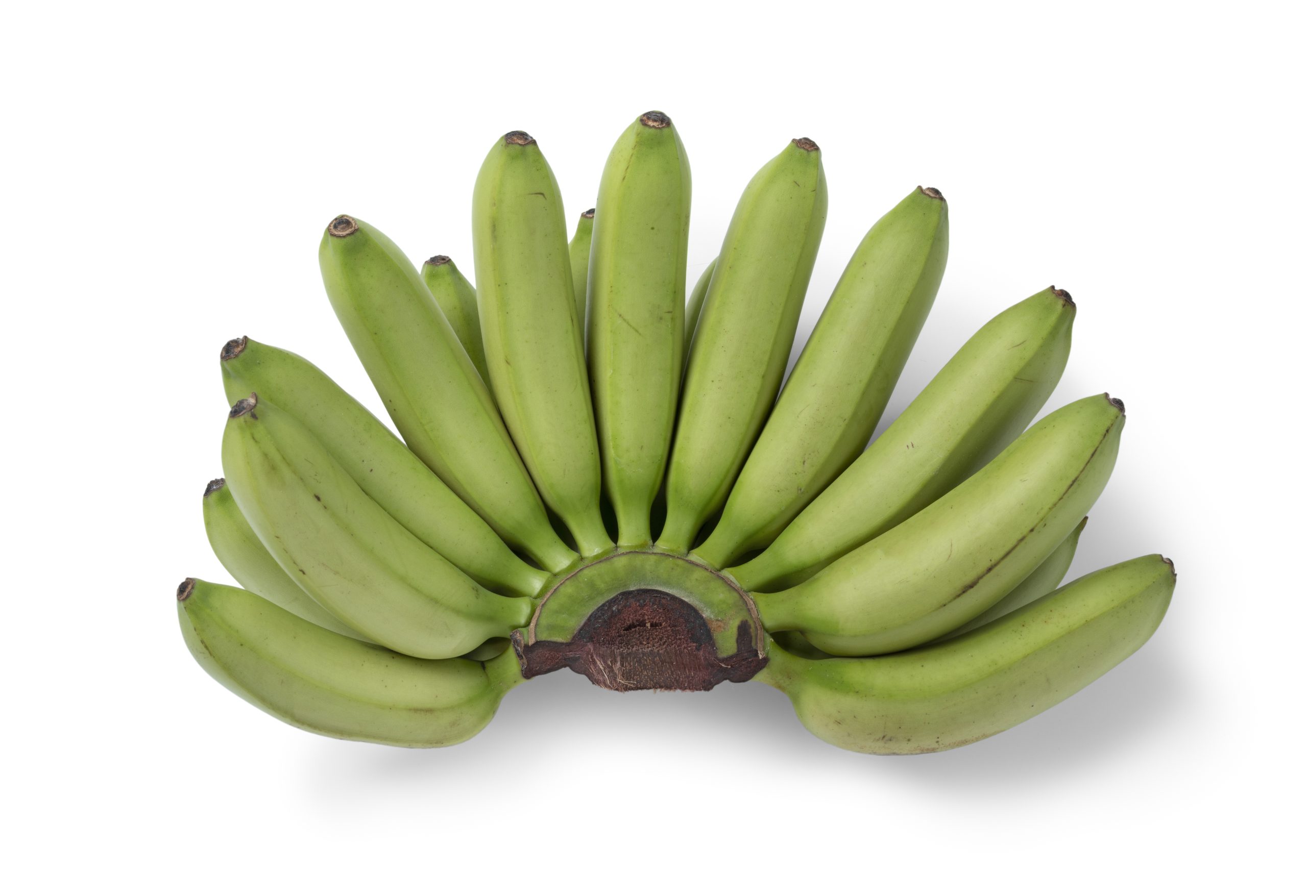 Fresh Matoke (Green Bananas) – Wholesale Supply
