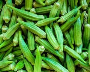 Fresh African okra for wholesale export supply