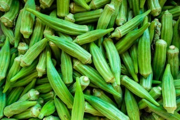 Fresh African okra for wholesale export supply