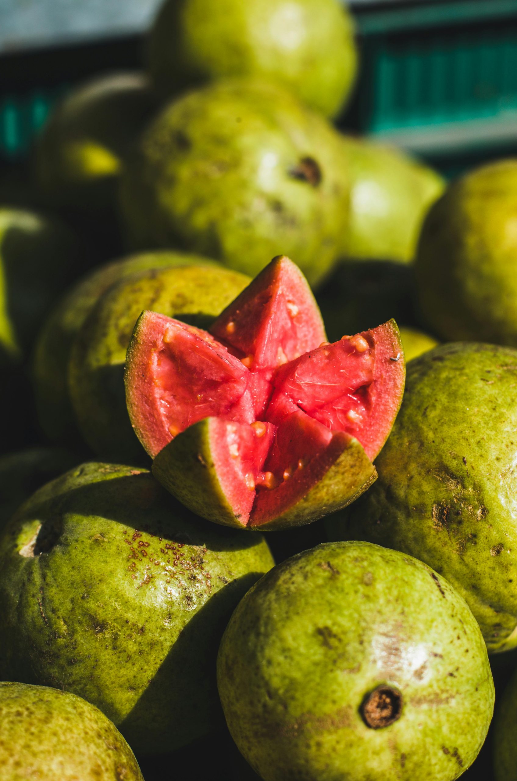 Fresh African guava for wholesale export