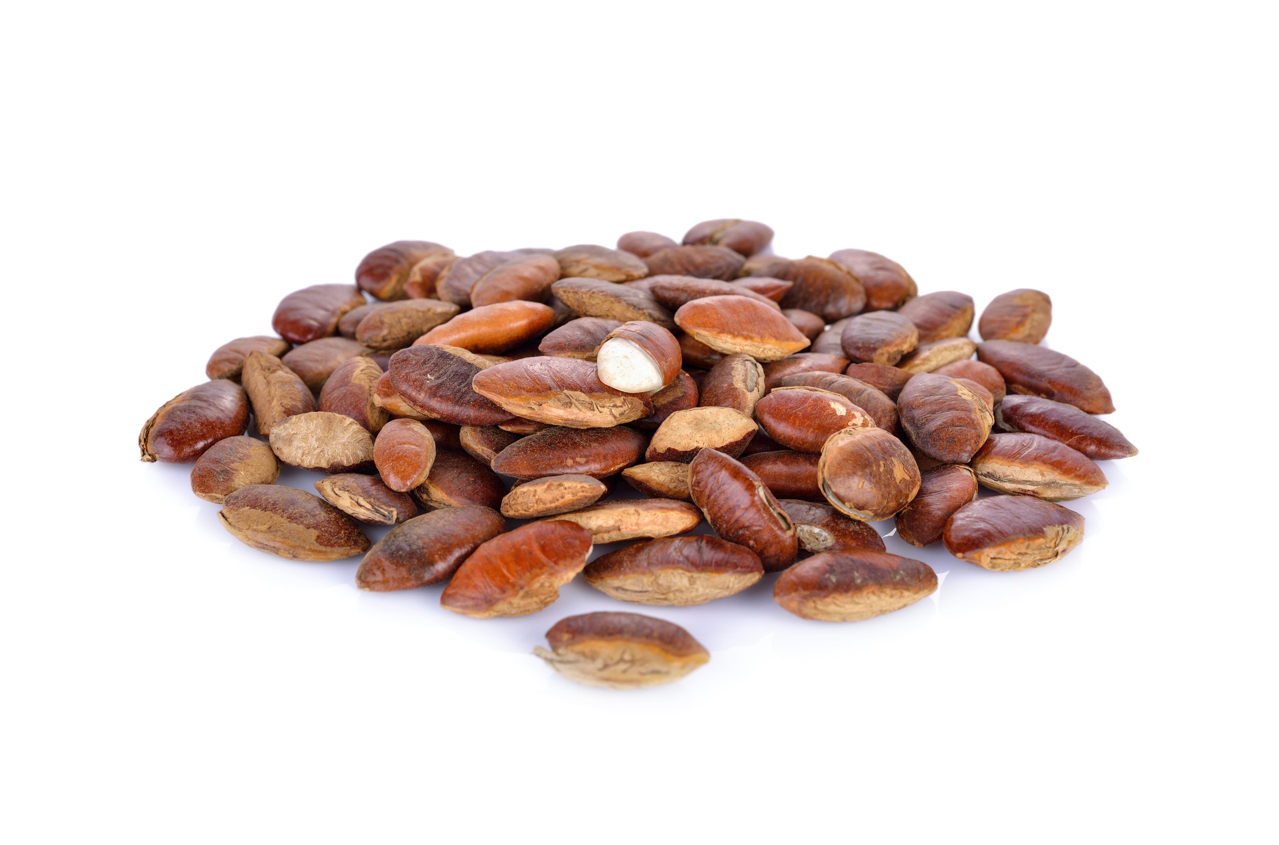 Ogbono seeds African mango seeds used for traditional African cooking