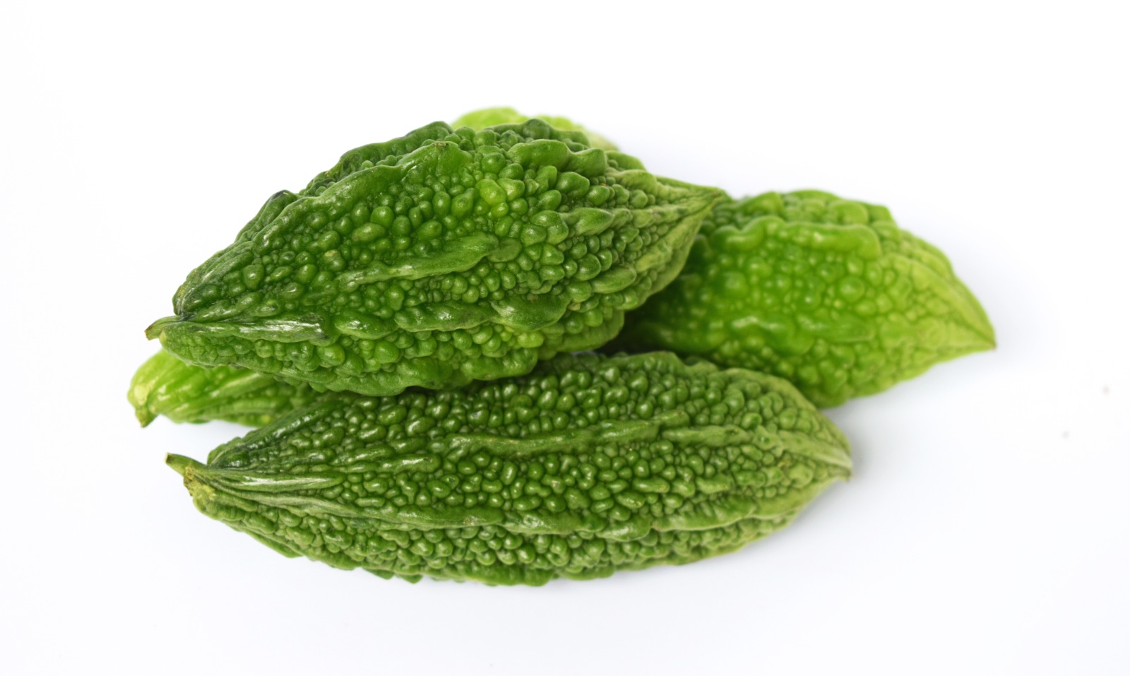 Fresh Bitter Melon (Bitter Gourd)