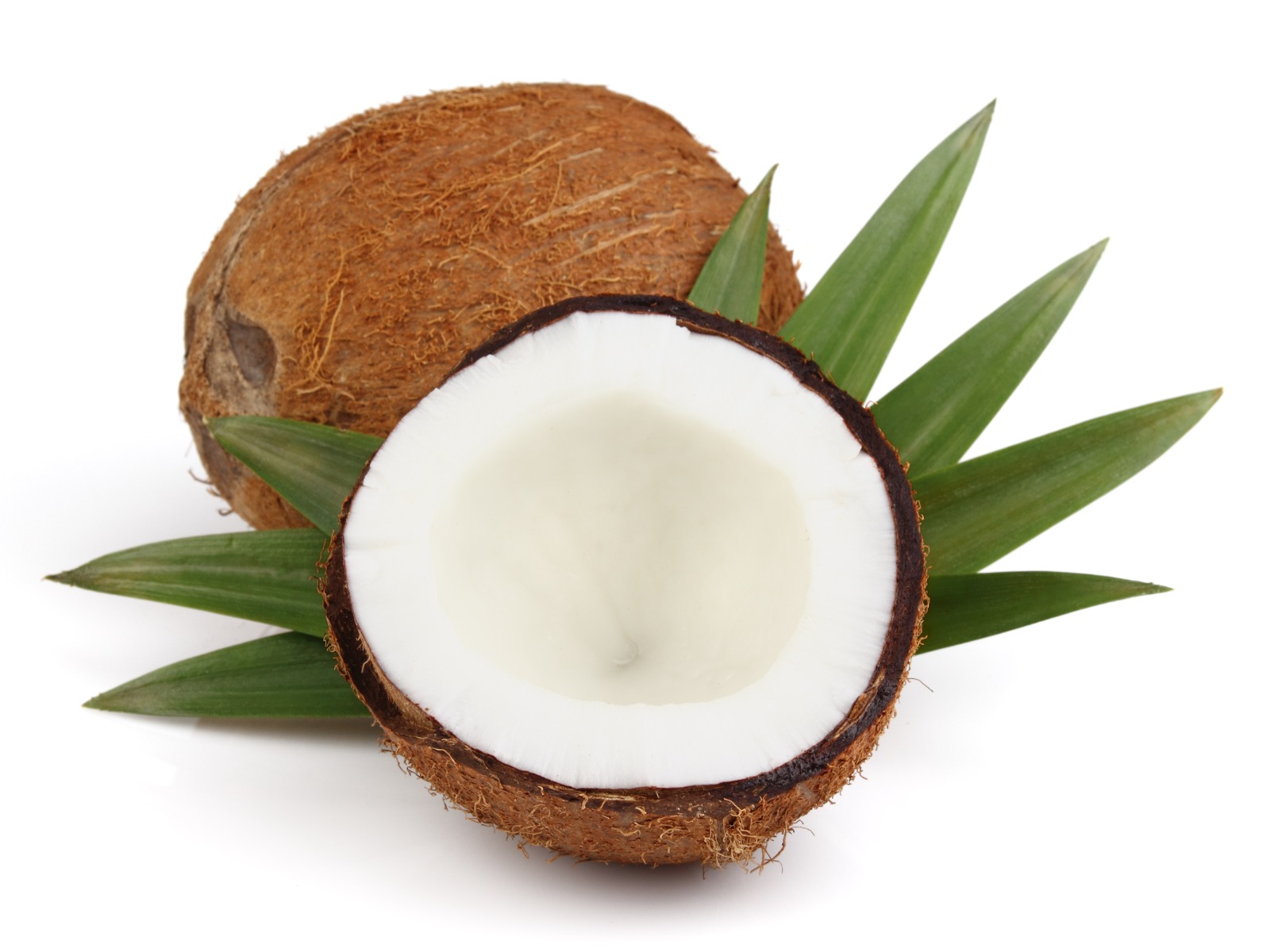 Coconut